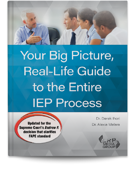 Your Big Picture, Real-Life Guide to the Entire IEP Process